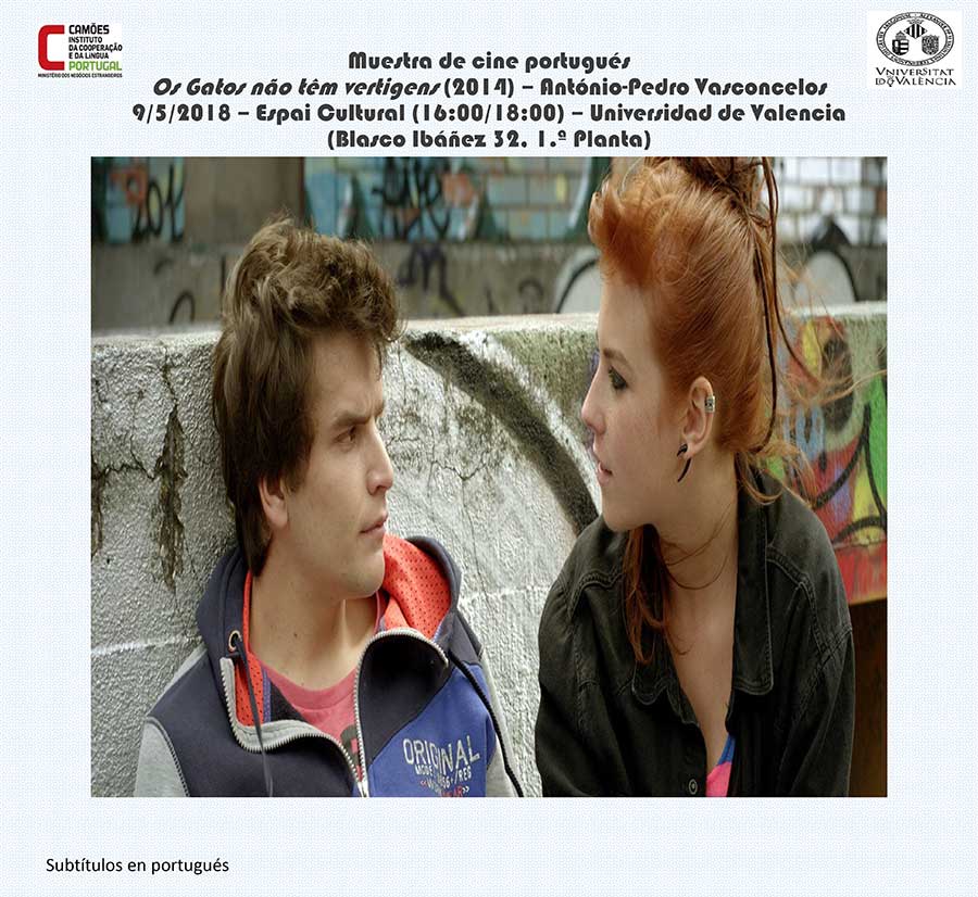 Ampliar Imagem