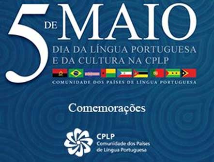 Ampliar Imagem